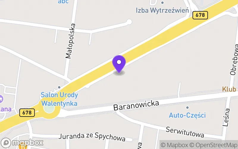 Lokalizacja: Niepubliczna Specjalna Szkoła Branżowa I Stopnia "Barwa"