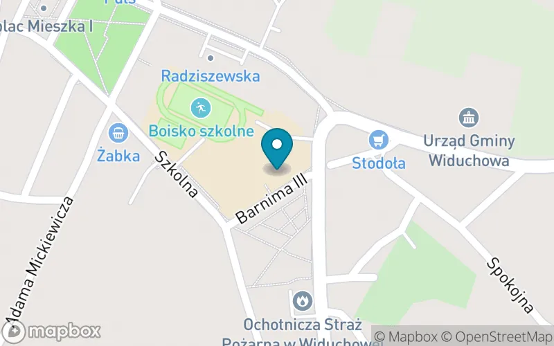 Lokalizacja: Publiczna Szkoła Podstawowa w Widuchowej