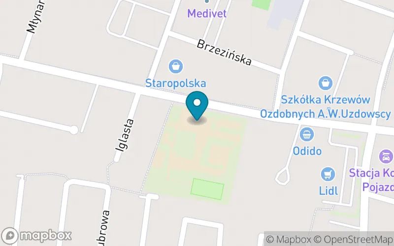 Lokalizacja: Szkoła Podstawowa nr 35 Im.jarosława Dąbrowskiego w Bydgoszczy
