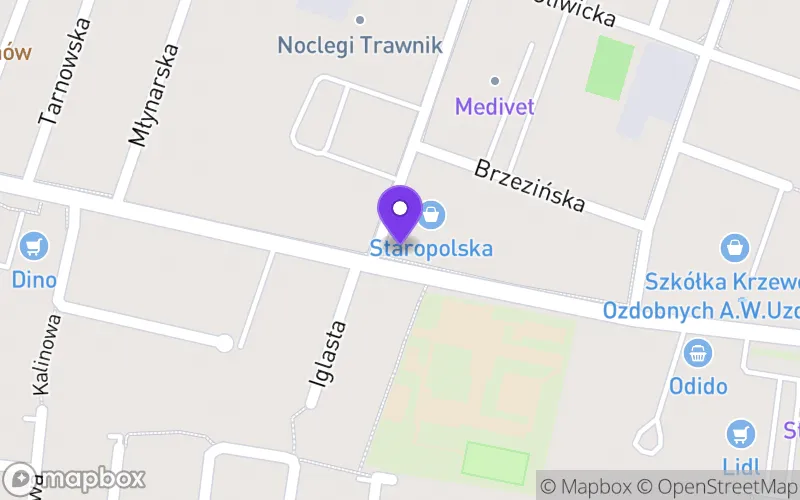 Lokalizacja: Staropolska Szkoła Branżowa I Stopnia