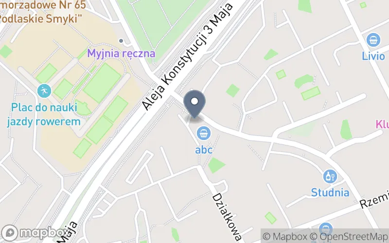 Lokalizacja: Regionalne Centrum Szkoleń i Edukacji przy Polskim Stowarzyszeniu Doradczym i Konsultingowym w Białymstoku