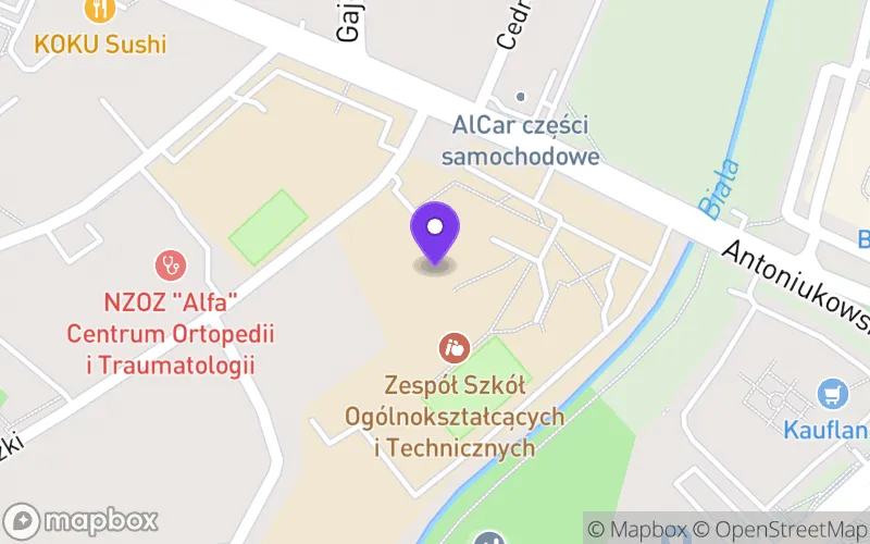 Lokalizacja: Technikum Zawodowe nr 1 w Białymstoku Zespołu Szkół Ogólnokształcących i Technicznych w Białymstoku