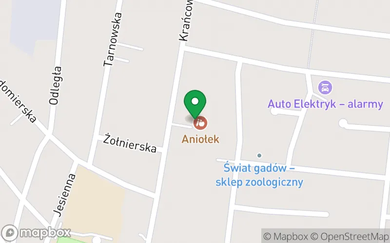 Lokalizacja: Przedszkole Arka Noego w Białymstoku