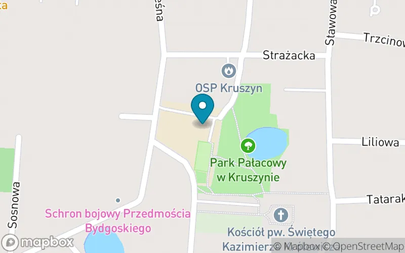 Lokalizacja: Szkoła Podstawowa im. Kardynała Stefana Wyszyńskiego w Kruszynie