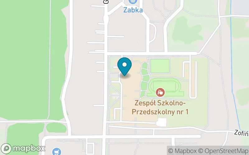 Lokalizacja: Szkoła Podstawowa nr 9 im. Właysława Jagiełły w Bydgoszczy