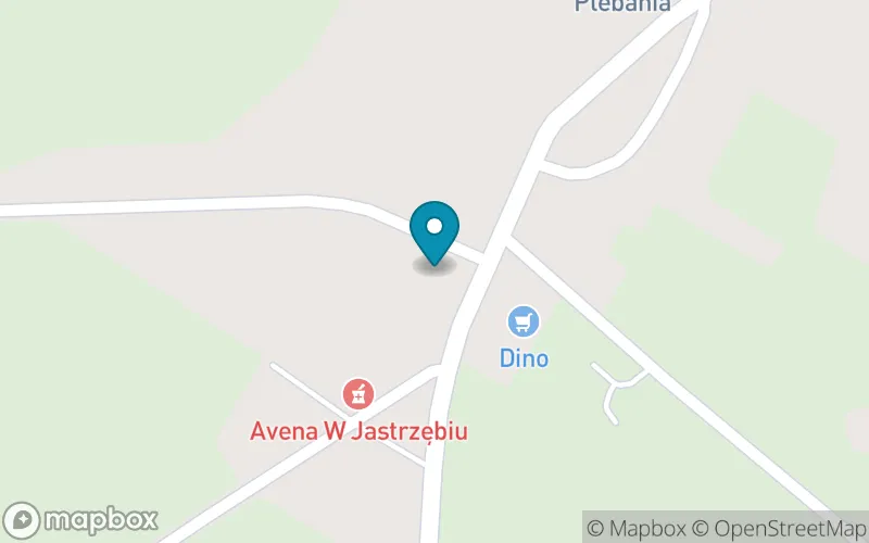 Lokalizacja: Szkoła Podstawowa w Jastrzębiu