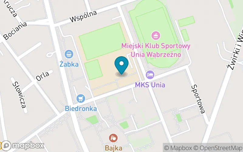 Lokalizacja: Szkoła Podstawowa nr 3 im. Edmunda Wojnowskiego