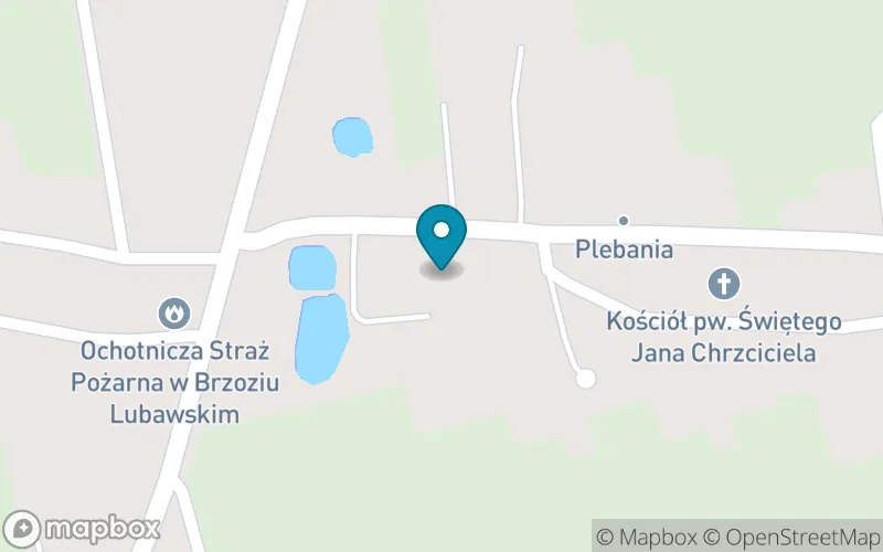Lokalizacja: Szkoła Podstawowa im. Orła Białego w Brzoziu Lubawskim