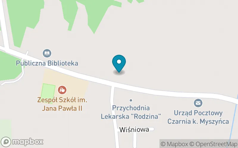 Lokalizacja: Specjalny Ośrodek Szkolno-Wychowawczy im. Brata Zenona Żebrowskiego w Czarni - Szkoła Podstawowa