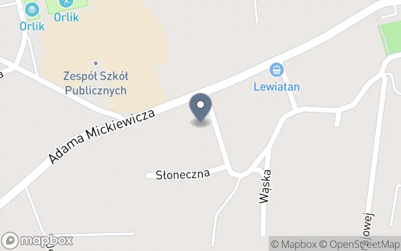 Lokalizacja: Firma Usługowo - Szkoleniowa "Eureka"