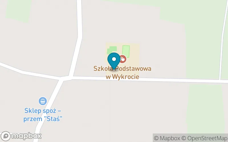 Lokalizacja: Publiczna Szkoła Podstawowa im. Brata Zenona Żebrowskiego w Wykrocie