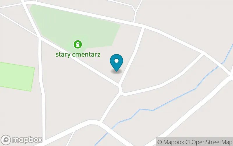 Lokalizacja: Społeczna Szkoła Podstawowa w Zalesiu