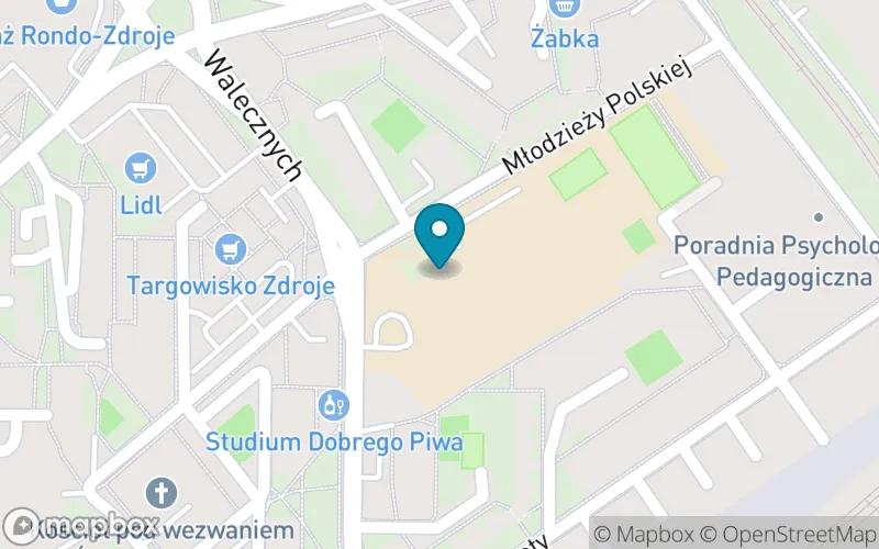 Lokalizacja: Szkoła Podstawowa nr 65 im. Prof. Antoniego Bolesława Dobrowolskiego