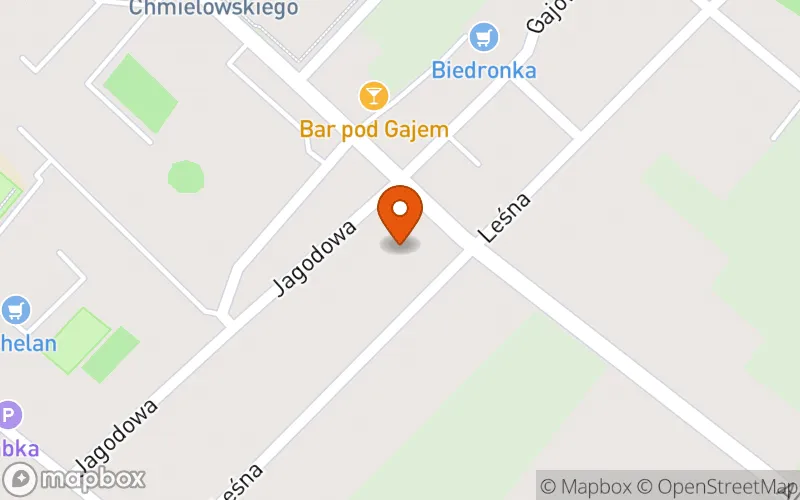 Lokalizacja: Niepubliczny żłobek Domisie