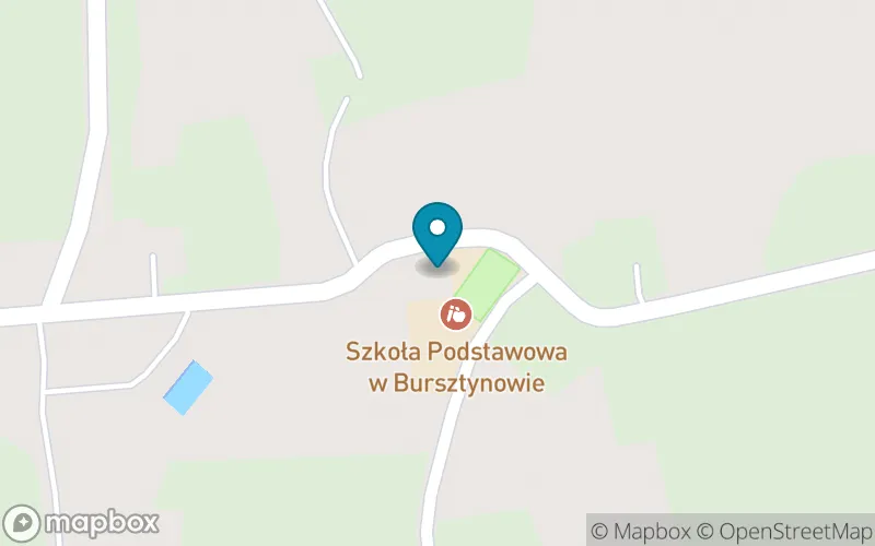 Lokalizacja: Szkoła Podstawowa w Bursztynowie