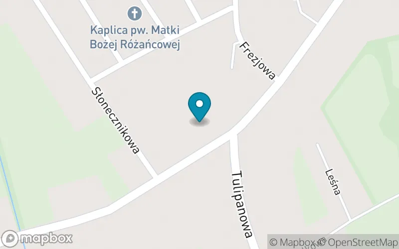Lokalizacja: Szkoła Podstawowa im. Jana Pawła II w Sztynwagu