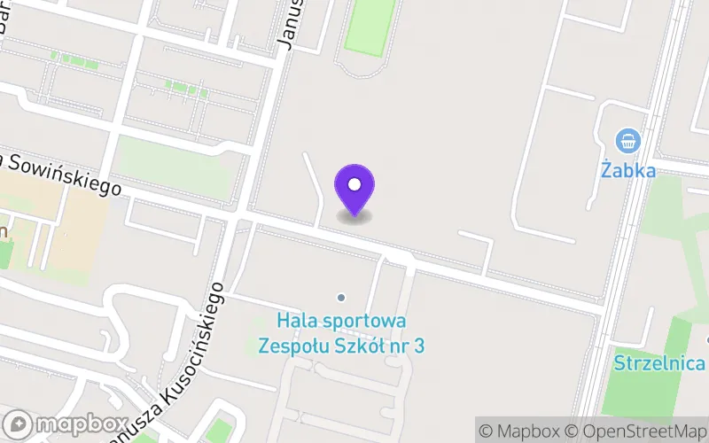 Lokalizacja: Technikum Ekonomiczne im. Rotmistrza Witolda Pileckiego