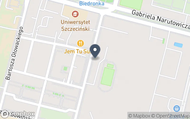 Lokalizacja: Zespół Szkół nr 4 im. Armii Krajowej
