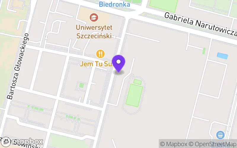 Lokalizacja: Technikum Energetyczno-Transportowe