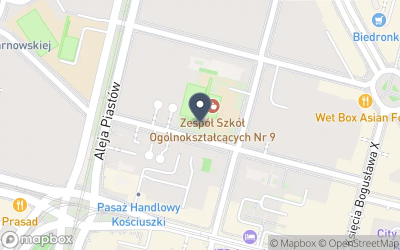 Lokalizacja: Zespół Szkół Ogólnokształcących nr 9