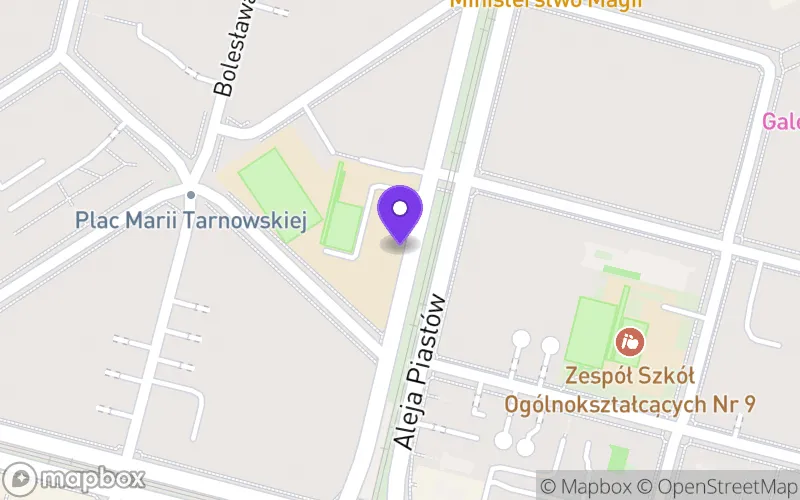Lokalizacja: I Liceum Ogólnokształcące im. M. Skłodowskiej Curie