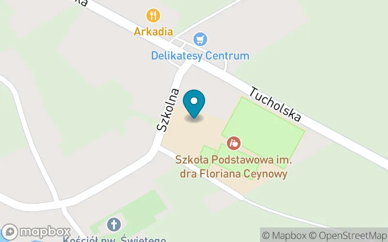 Lokalizacja: Szkoła Podstawowa im. Dra Floriana Ceynowy w Przysiersku