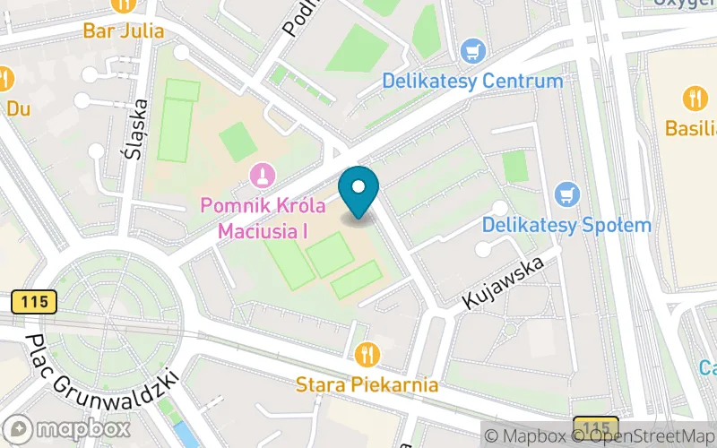 Lokalizacja: Sportowa Szkoła Podstawowa