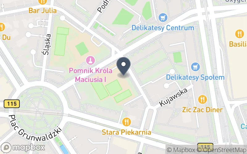 Lokalizacja: Centrum Mistrzostwa Sportowego