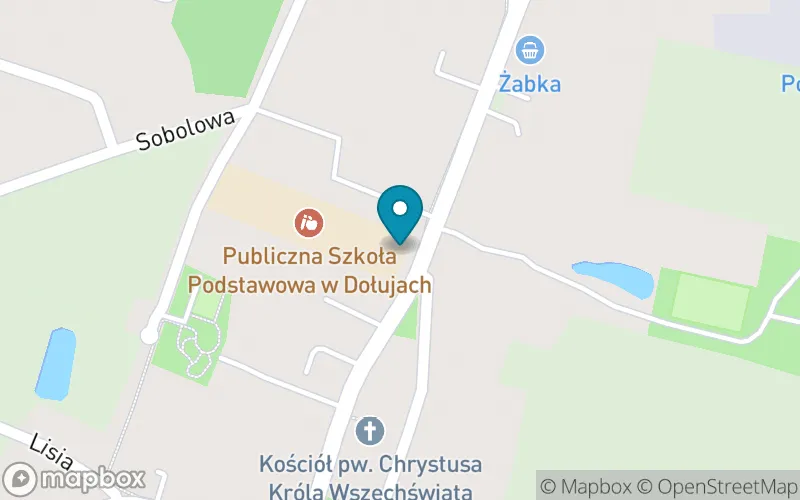 Lokalizacja: Publiczna Szkoła Podstawowa im. Polskiej Żeglugi Morskiej w Dołujach