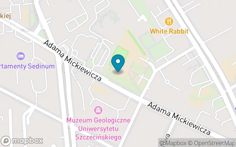 Lokalizacja: Publiczna Szkoła Podstawowa Specjalna nr 52