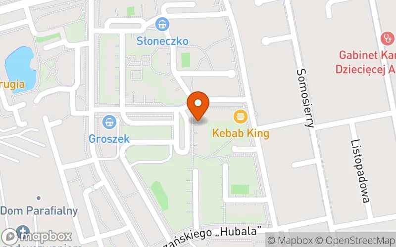 Lokalizacja: Żłobek Niepubliczny "Kids"