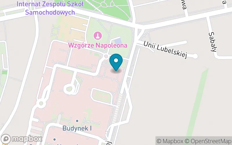 Lokalizacja: Szkoła Podstawowa Specjalna nr 17