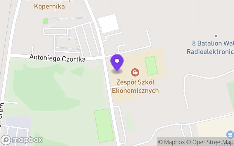 Lokalizacja: Technikum nr 1 im. Mikołaja Kopernika Ekonomisty
