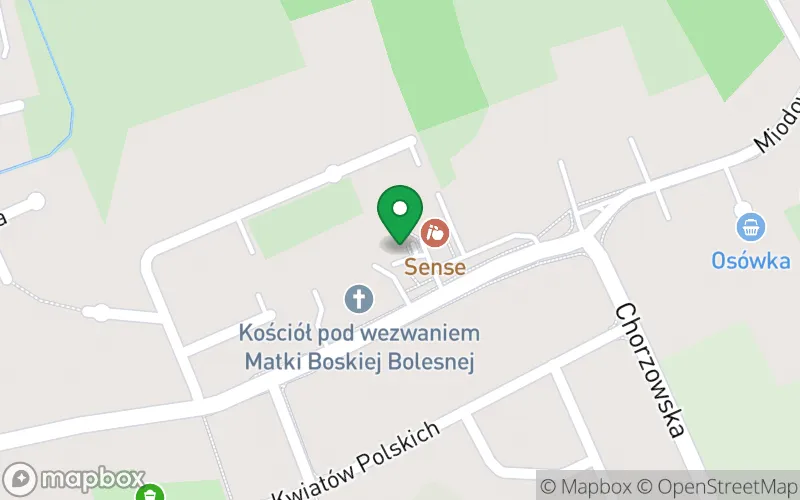 Lokalizacja: Przedszkole Specjalne Terapeutyczne "Sense"