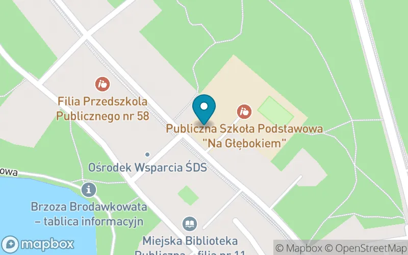 Lokalizacja: Publiczna Szkoła Podstawowa "Na Głębokiem"