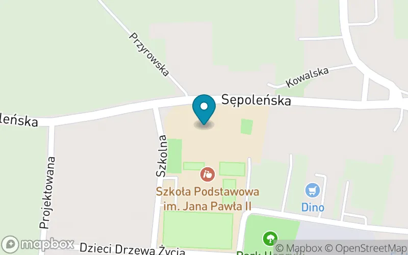 Lokalizacja: Szkoła Podstawowa im. Jana Pawła II w Gostycynie