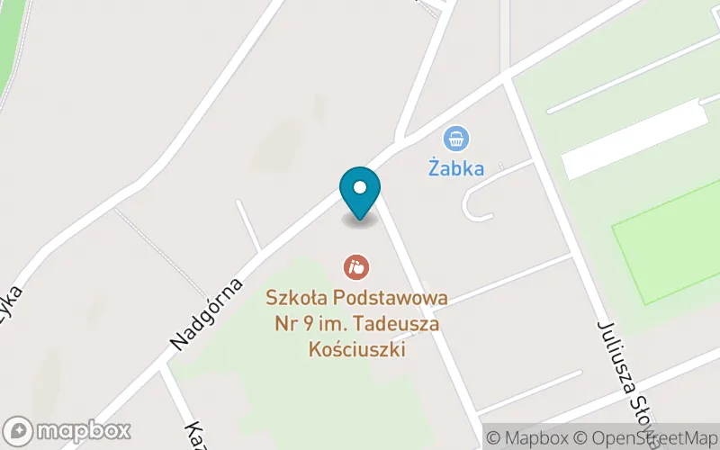 Lokalizacja: Szkoła Podstawowa nr 9 im. Tadeusza Kościuszki