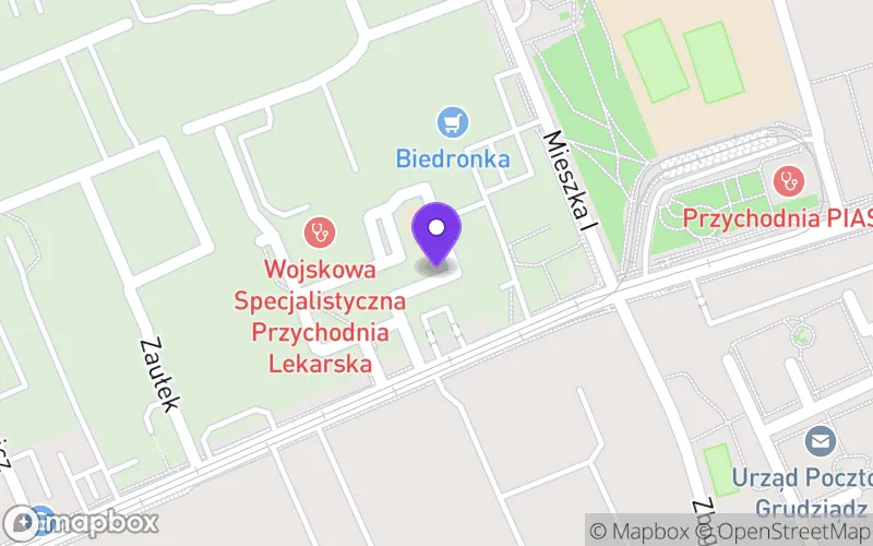 Lokalizacja: Prywatne Liceum Sztuk Plastycznych "Manager" w Grudziądzu