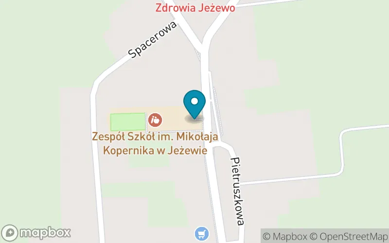 Lokalizacja: Szkoła Podstawowa im. Adama Mickiewicza w Jeżewie