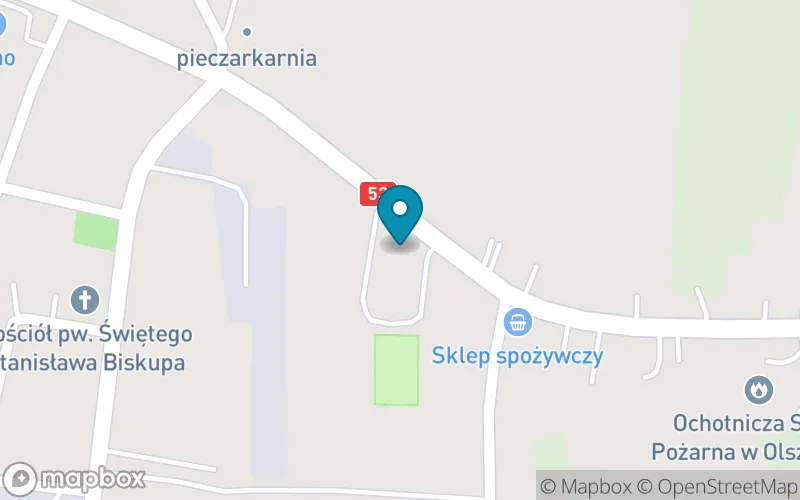 Lokalizacja: Szkoła Podstawowa w Olszynach