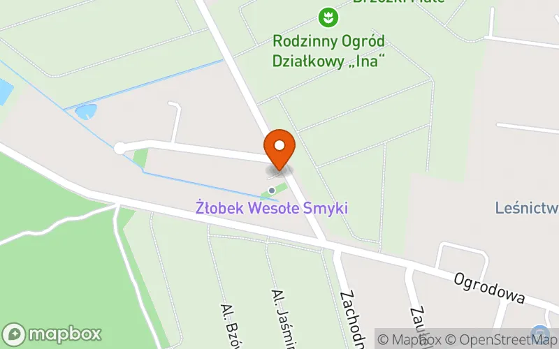 Lokalizacja: Żłobek "WESOŁE SMYKI"
