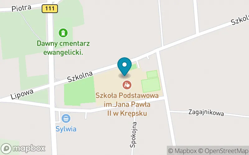 Lokalizacja: Szkoła Podstawowa im. Jana Pawła II w Krępsku