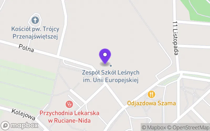 Lokalizacja: Liceum Ogólnokształcące w Rucianem-Nidzie w Zespole Szkół Leśnych w Rucianem-Nidzie