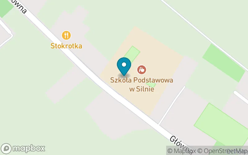 Lokalizacja: Szkoła Podstawowa w Silnie