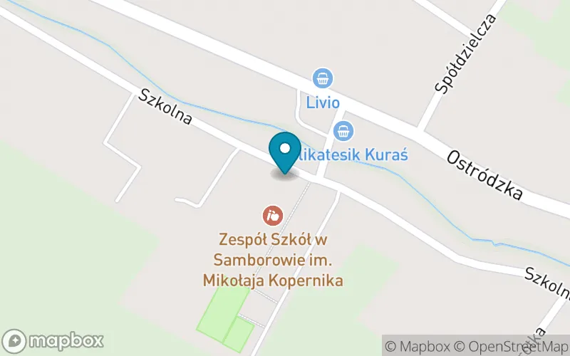 Lokalizacja: Szkoła Podstawowa w Samborowie