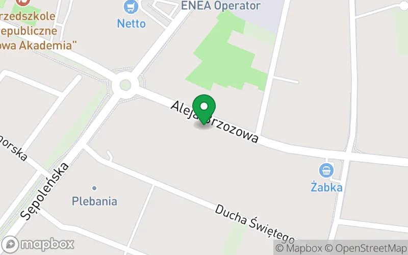 Lokalizacja: Niepubliczne Przedszkole Językowe Parrot