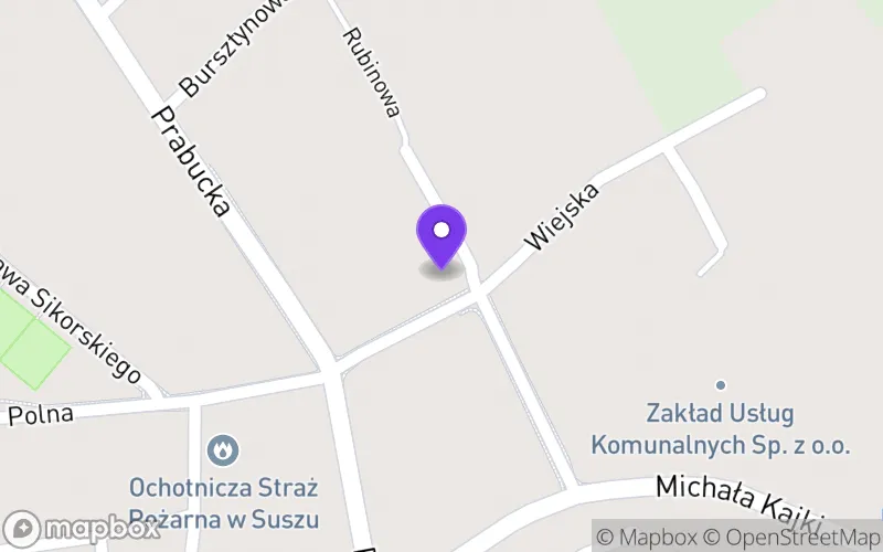 Lokalizacja: Technikum w Suszu