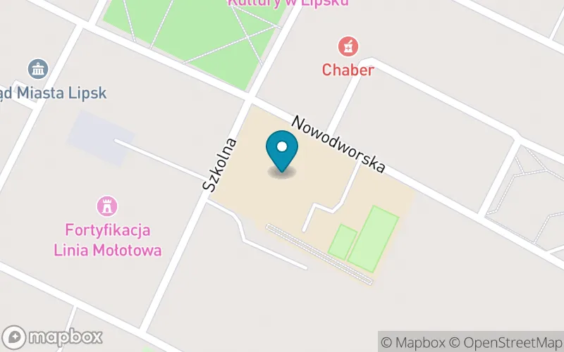 Lokalizacja: Szkoła Podstawowa im. Anastazji Milewskiej w Lipsku