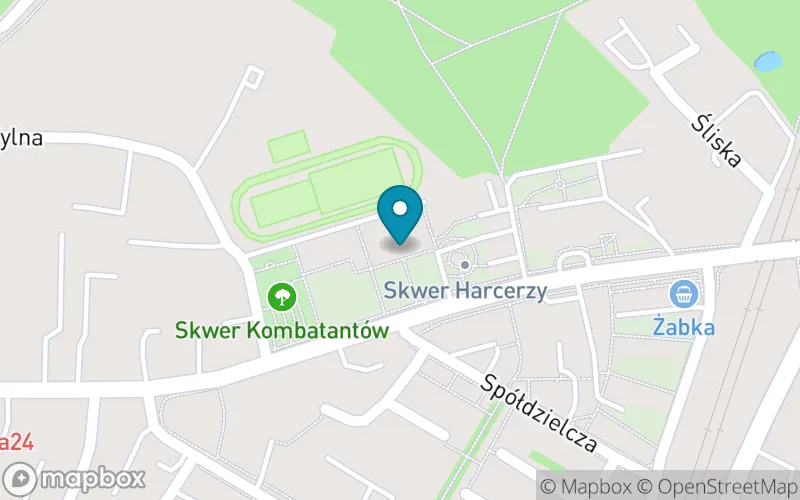 Lokalizacja: Szkoła Podstawowa nr 4 im. Adama Mickiewicza w Kwidzynie