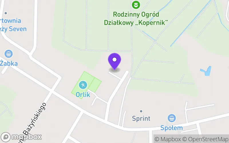 Lokalizacja: X Liceum Ogólnokształcące Mistrzostwa Sportowego w Olsztynie